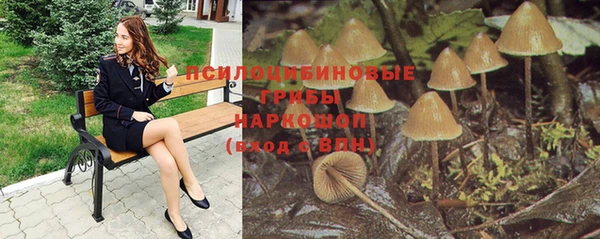прущие крисы Алексин