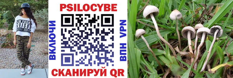 Псилоцибиновые грибы мухоморы  Венёв 